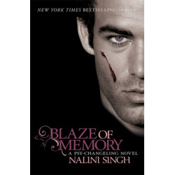Blaze of Memory: Book 7