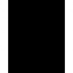 Oxford Playscripts: Salem