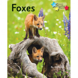 Foxes: Phonics Phase 5