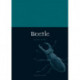 Beetle