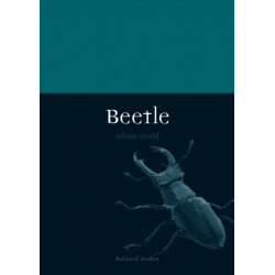 Beetle