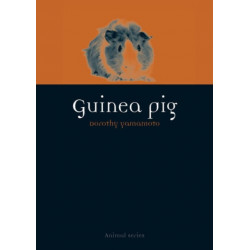 Guinea Pig