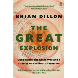 The Great Explosion: Gunpowder, the Great War, and a Disaster on the Kent Marshes