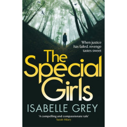 The Special Girls: A devastating crime thriller with a heart-wrenching twist
