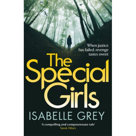 The Special Girls: A devastating crime thriller with a heart-wrenching twist