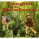 Tangled in the Rainforest