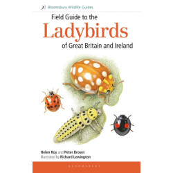 Field Guide to the Ladybirds of Great Britain and Ireland