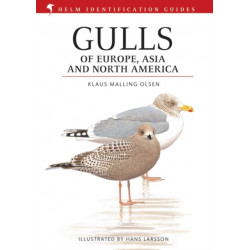 Gulls of Europe, Asia and North America