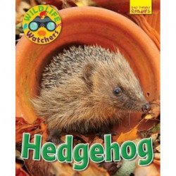 Wildlife Watchers: Hedgehog