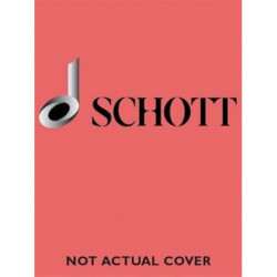 The Modern Recorder Player