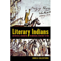 Literary Indians: Aesthetics and Encounter in American Literature to 1920