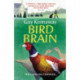 Bird Brain