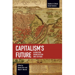 Capitalism's Future: Alienation, Emancipation and Critique