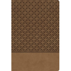 KJV Study Bible, Large Print, Leathersoft, Tan, Red Letter: Second Edition