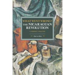 What Went Wrong? The Nicaraguan Revolution: A Marxist Analysis