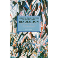Working Class Politics In The German Revolution (historical Materialsim, Volume 77): Richard Muller, the Revolutionary Shop Stewards and the Origins of the Council Movement