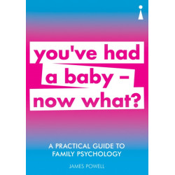 A Practical Guide to Family Psychology: You've had a baby - now what?
