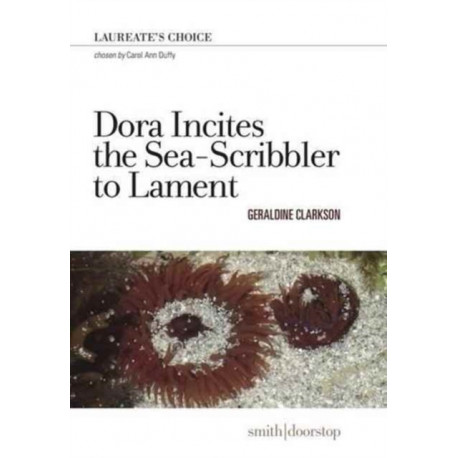 Dora Incites Sea-Scribbler Lament