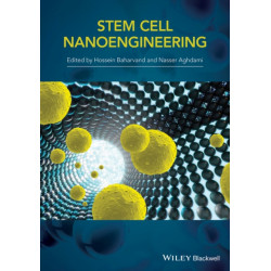 Stem-Cell Nanoengineering