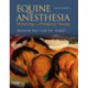 Equine Anesthesia: Monitoring and Emergency Therapy