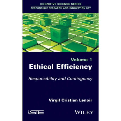 Ethical Efficiency: Responsibility and Contingency