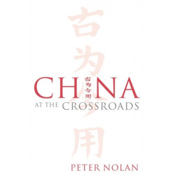 China at the Crossroads