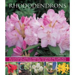 Rhododendrons
