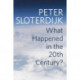 What Happened in the Twentieth Century?: Towards a Critique of Extremist Reason