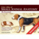Color Atlas of Small Animal Anatomy: The Essentials