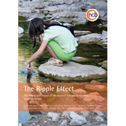 The Ripple Effect: The nature and impact of the children and young people's voluntary sector