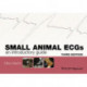 Small Animal ECGs: An Introductory Guide