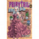 Fairy Tail 14