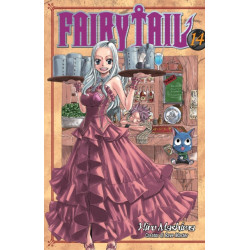 Fairy Tail 14
