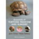 Essentials of Tortoise Medicine and Surgery