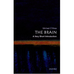 The Brain: A Very Short Introduction