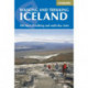 Walking and Trekking in Iceland: 100 days of walking and multi-day treks