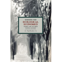 Marxism And Ecological Economics: Toward A Red And Green Poltical Economy: Historical Materialism, Volume 11
