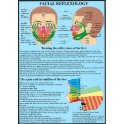 Facial Reflexology -- A4