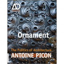 Ornament: The Politics of Architecture and Subjectivity