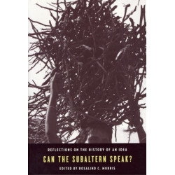 Can the Subaltern Speak?: Reflections on the History of an Idea