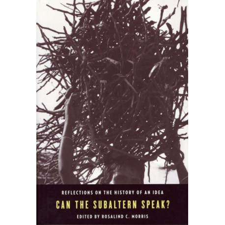 Can the Subaltern Speak?: Reflections on the History of an Idea