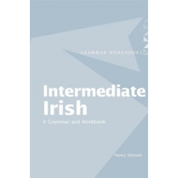 Intermediate Irish: A Grammar and Workbook