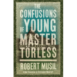 The Confusions of Young Master Torless