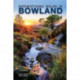 Birdwatching Walks in Bowland