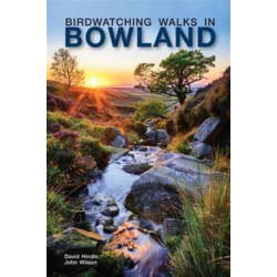 Birdwatching Walks in Bowland