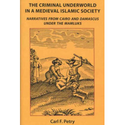 The Criminal Underworld in a Medieval Islamic Society: Narratives from Cairo and Damascus under the Mamluks