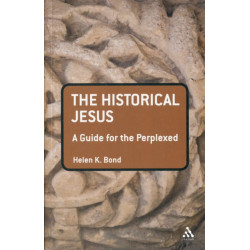 The Historical Jesus: A Guide for the Perplexed: A Guide for the Perplexed