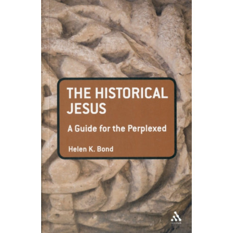 The Historical Jesus: A Guide for the Perplexed: A Guide for the Perplexed