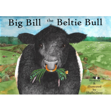 Big Bill the Beltie Bull