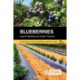 Blueberries